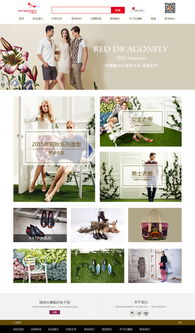 紅蜻蜓網(wǎng)站設(shè)計與用戶體驗優(yōu)化